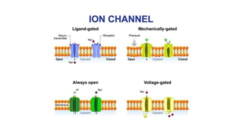 modality gated channels